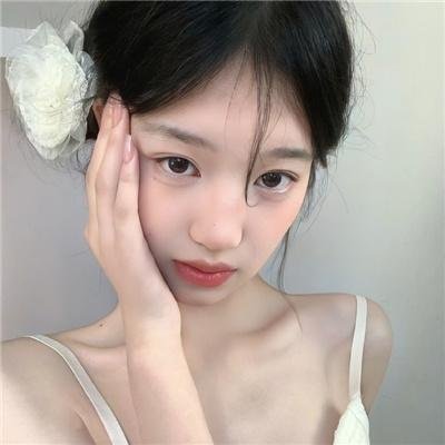 再见非洲